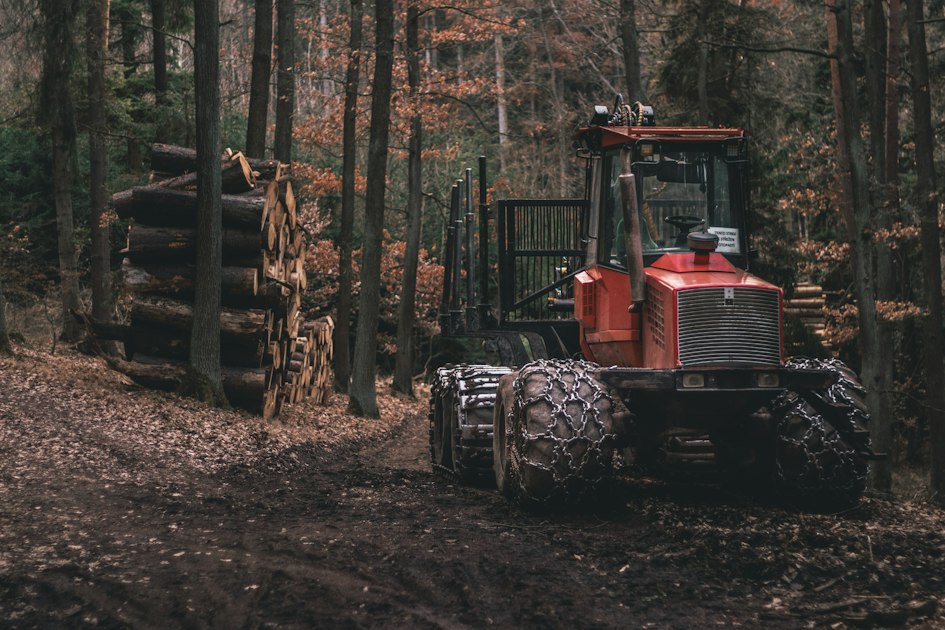 Top Benefits of Gravel Driveway Repair